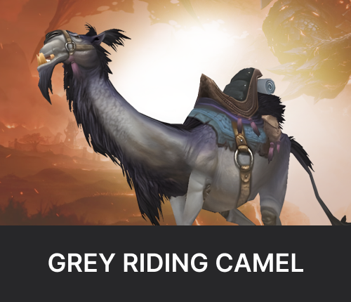 Grey Riding Camel Mount